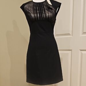 bebe Black Mini Dress with Sheer Detail